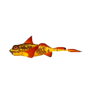 Golden Chimaera